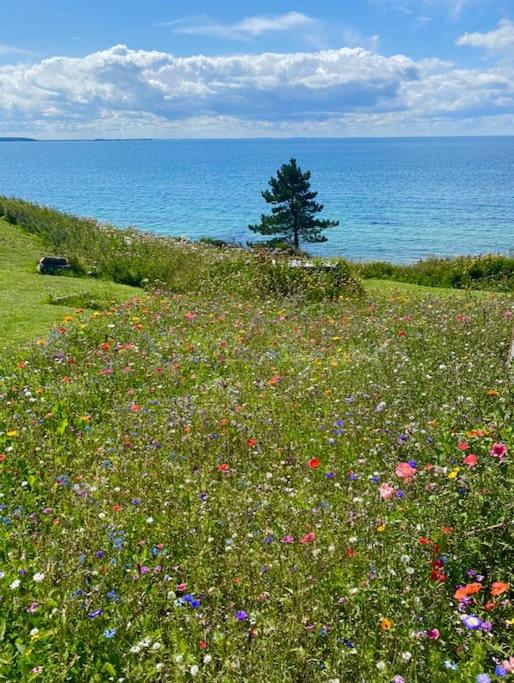 Denmark's Most Charming Beach Cottage