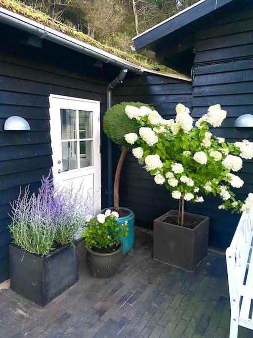 Denmark's Most Charming Beach Cottage