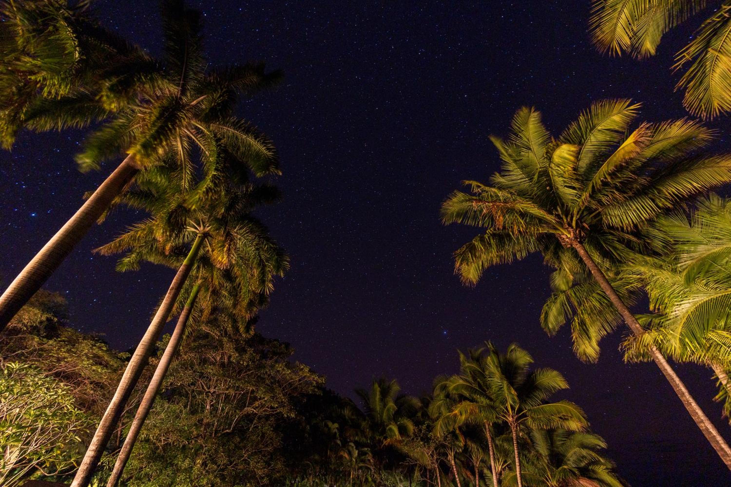 Dream On Costa Rica