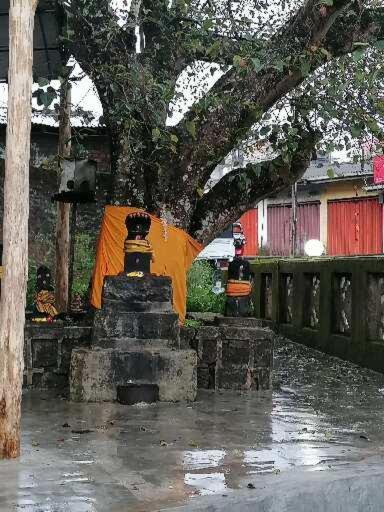 Photo 44
