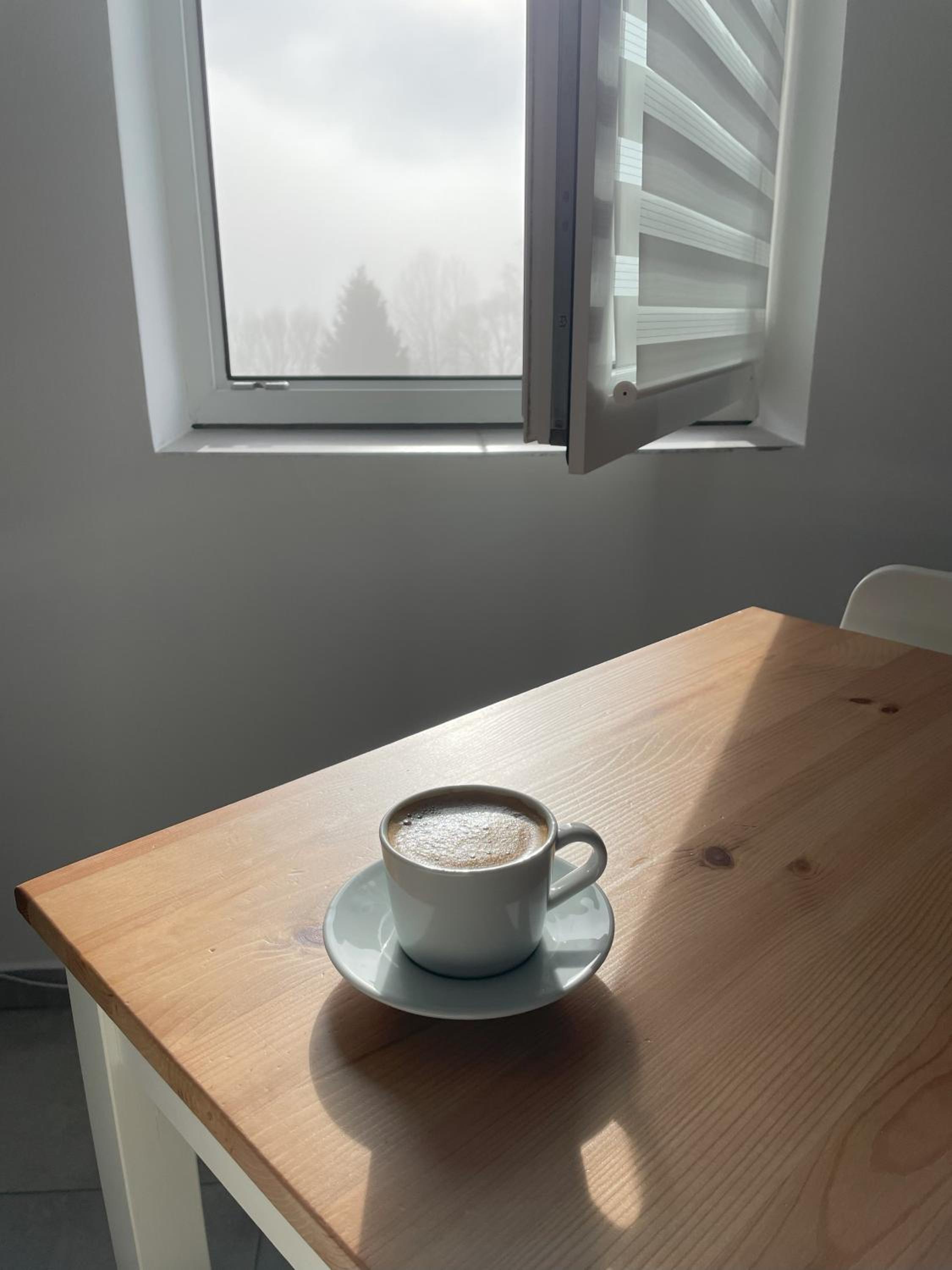 LIPNO Moss Apartment