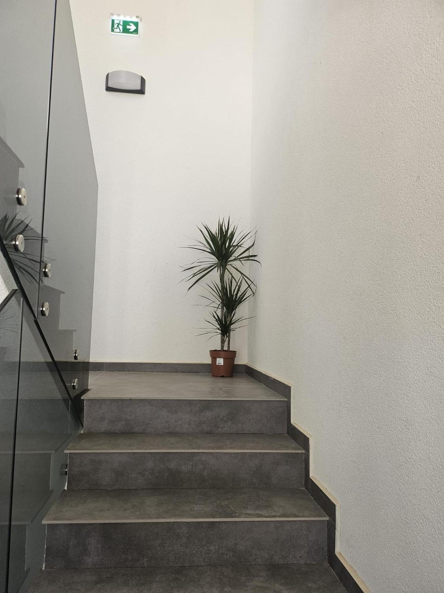 Apartman rudolf