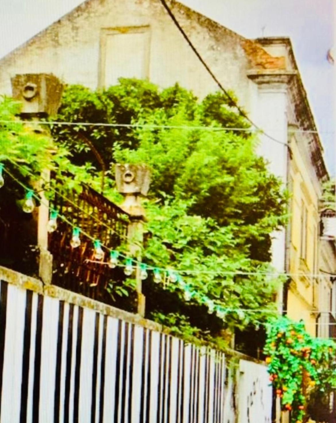 Photo 41