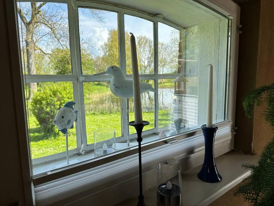 idyllisch gelegenes Ferienhaus nähe Heiligenhafen