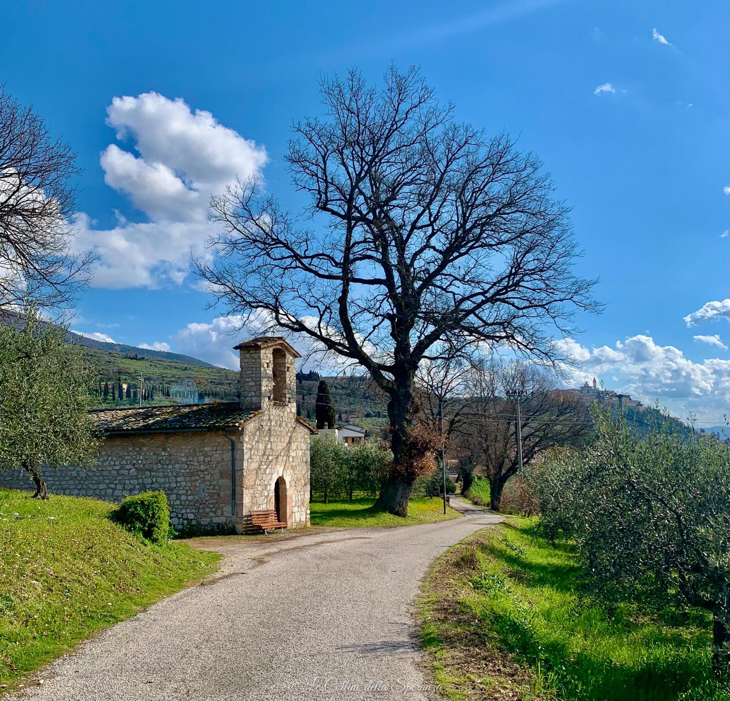 A Passo Lento nel Castello di Collepino - Spello