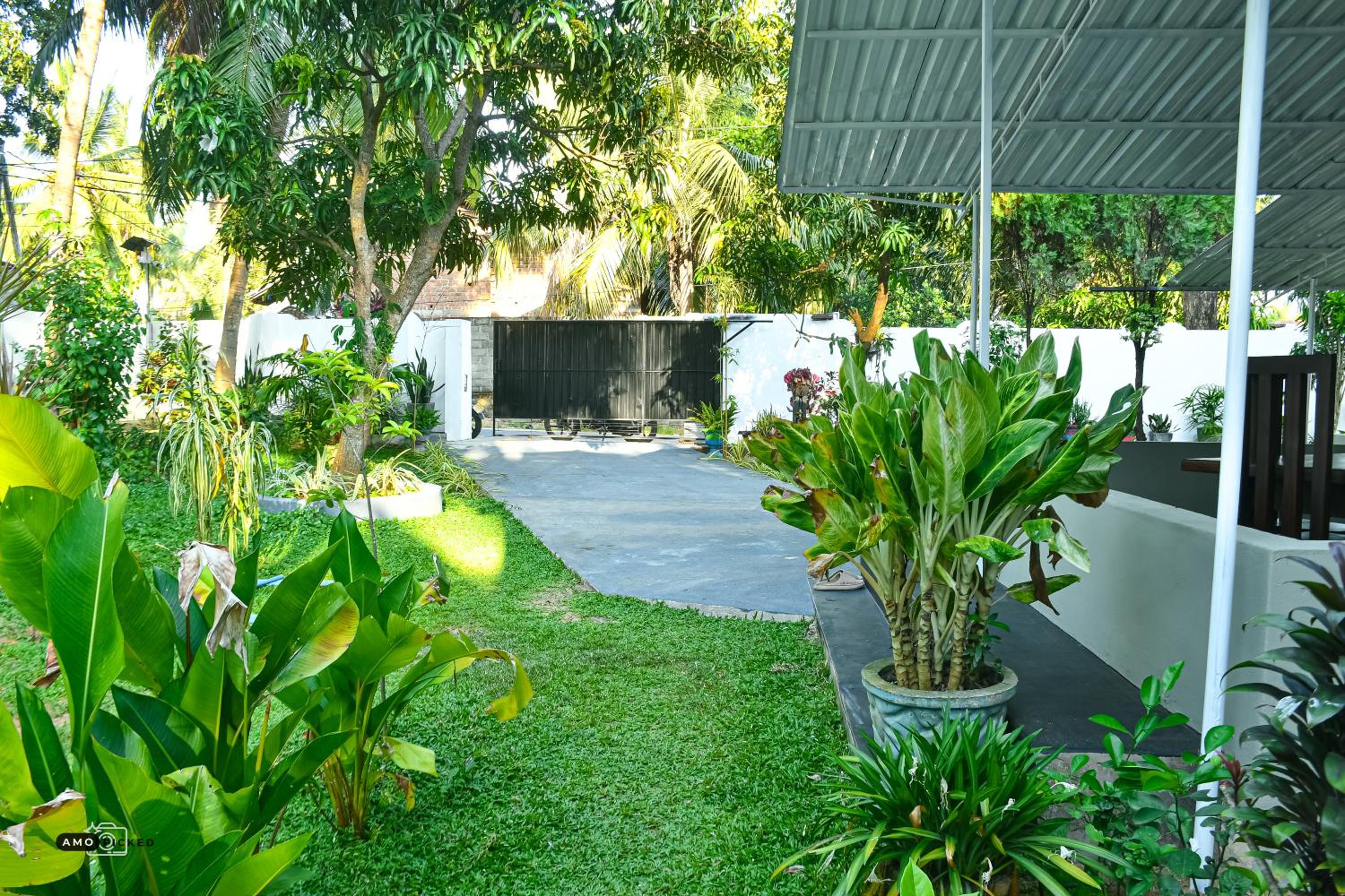 Coconut Villa view 2