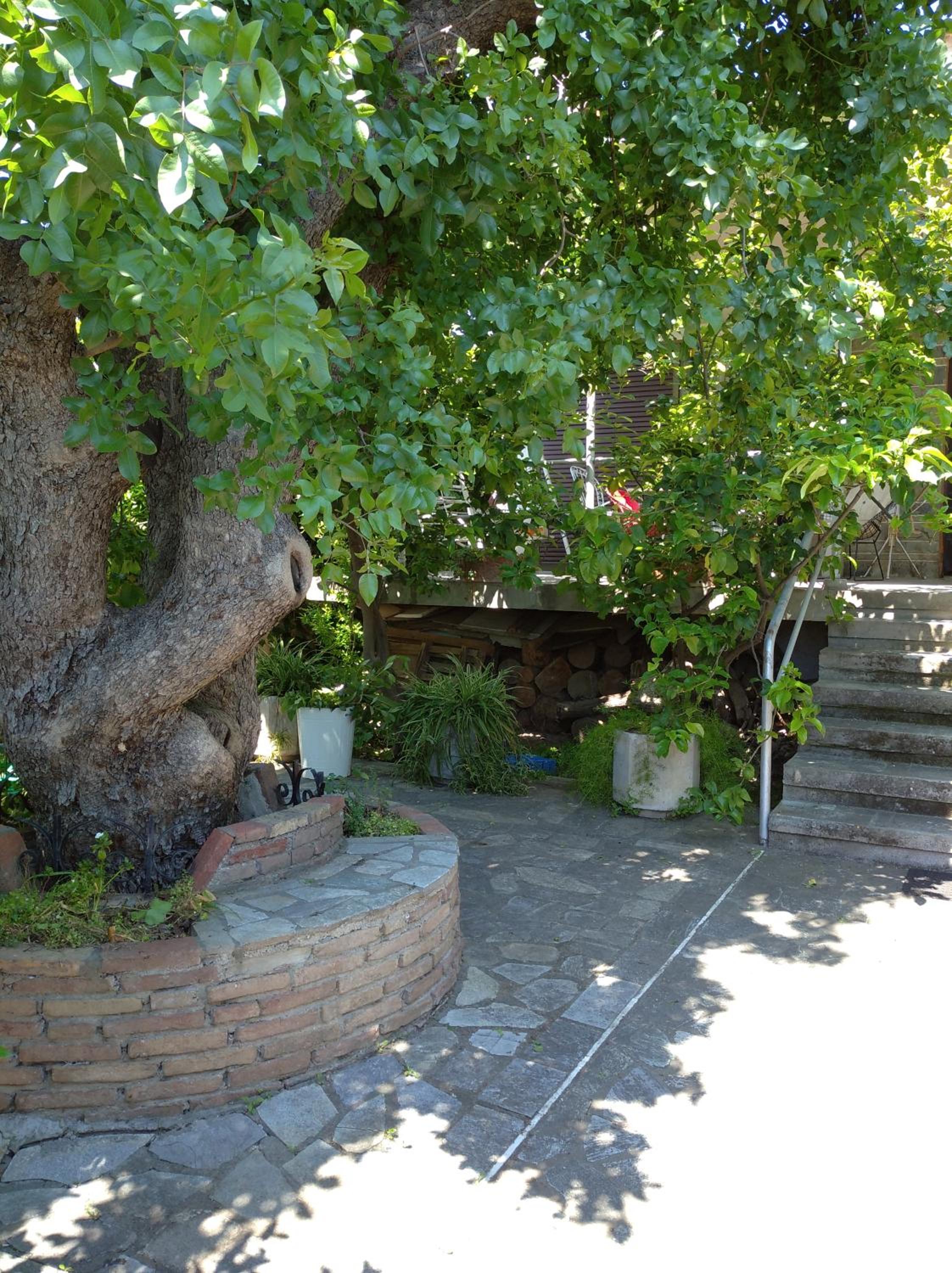 The Lemon House by The Sea view 4