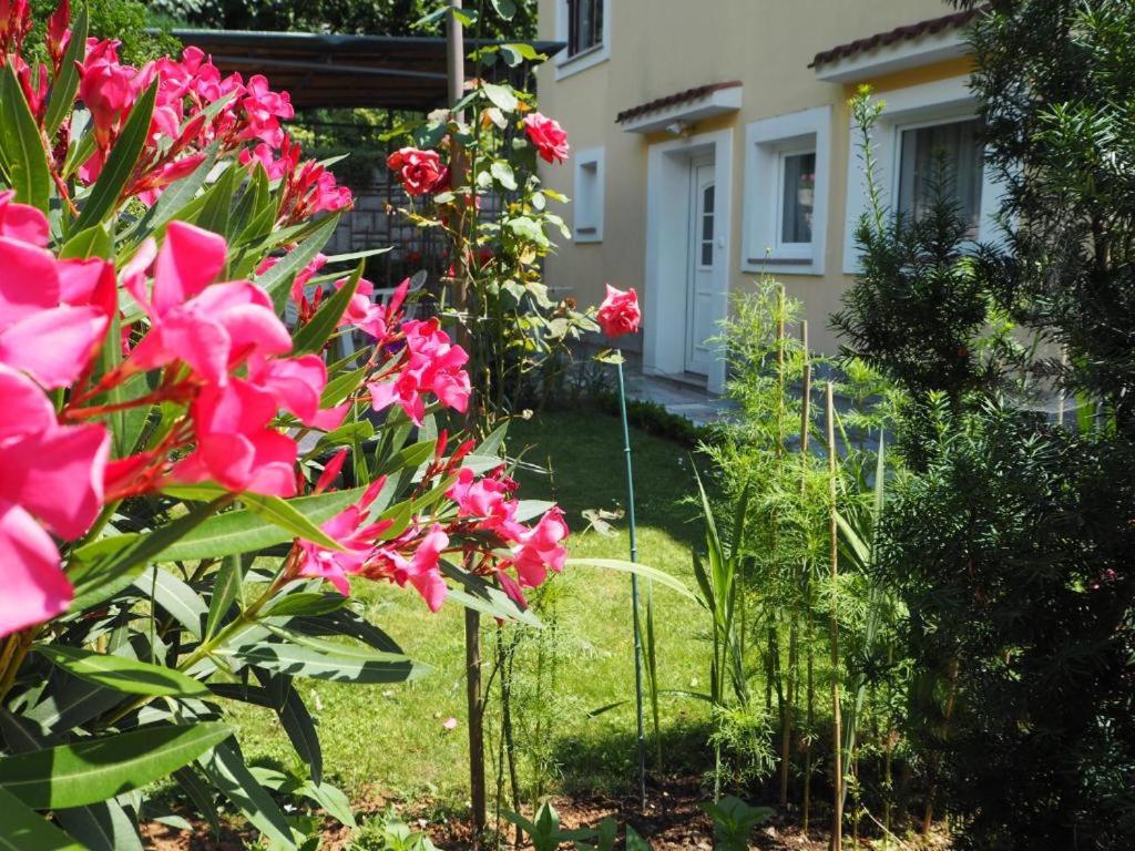 Maria's Place view 5