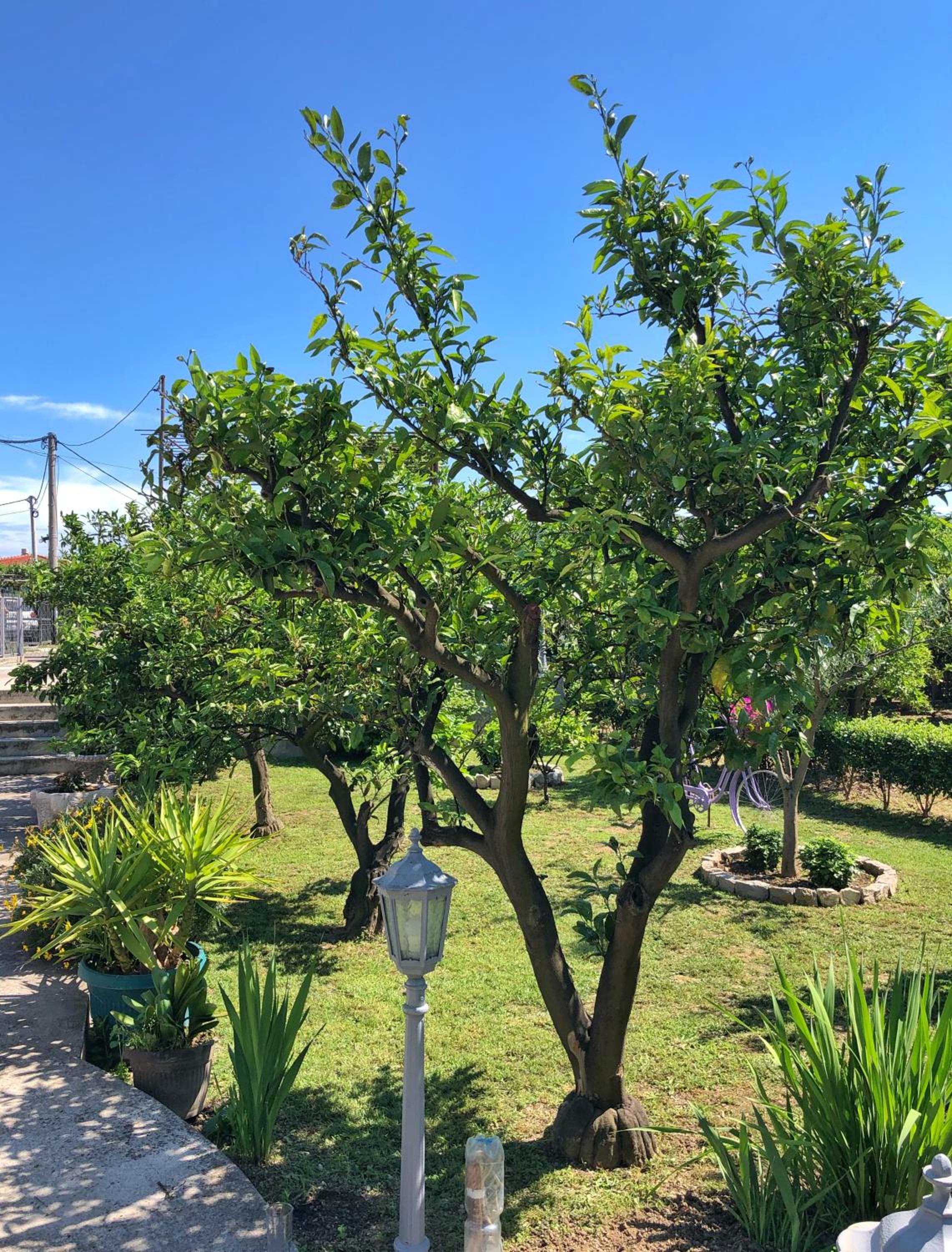 La mia casa view 2