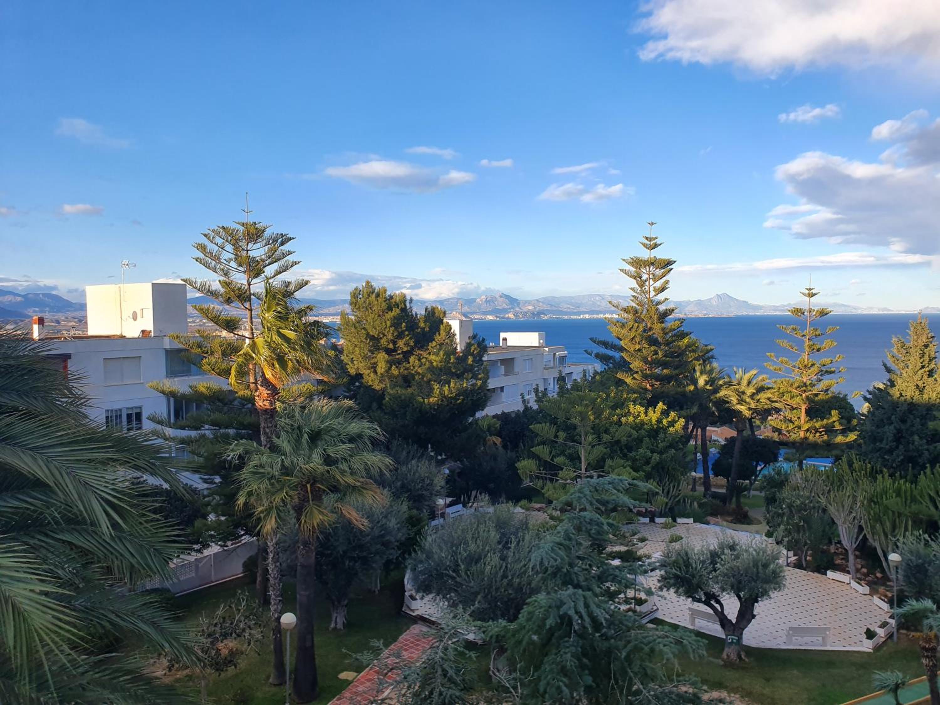 AriaSpot Alicante
