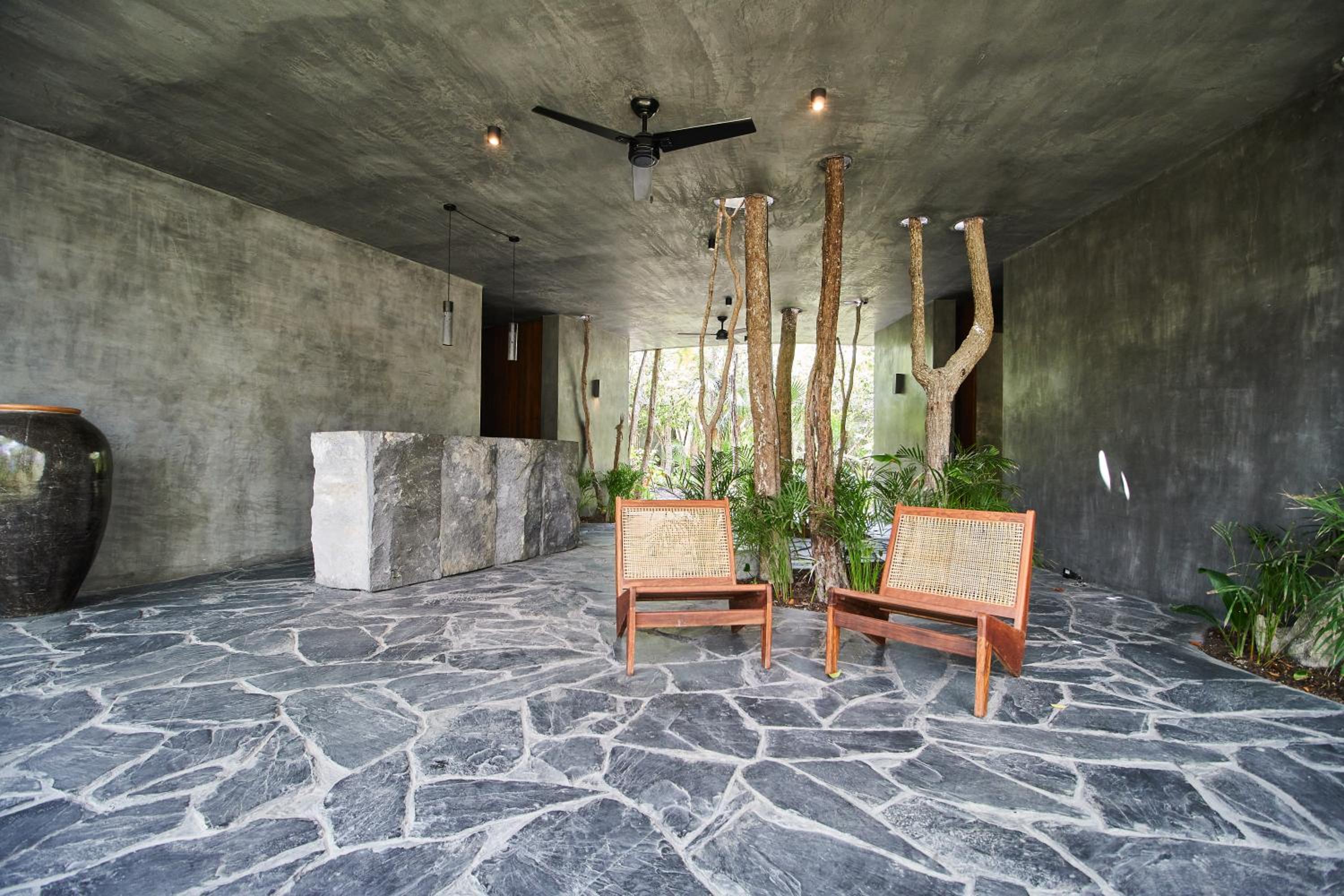 recepcion & lobby