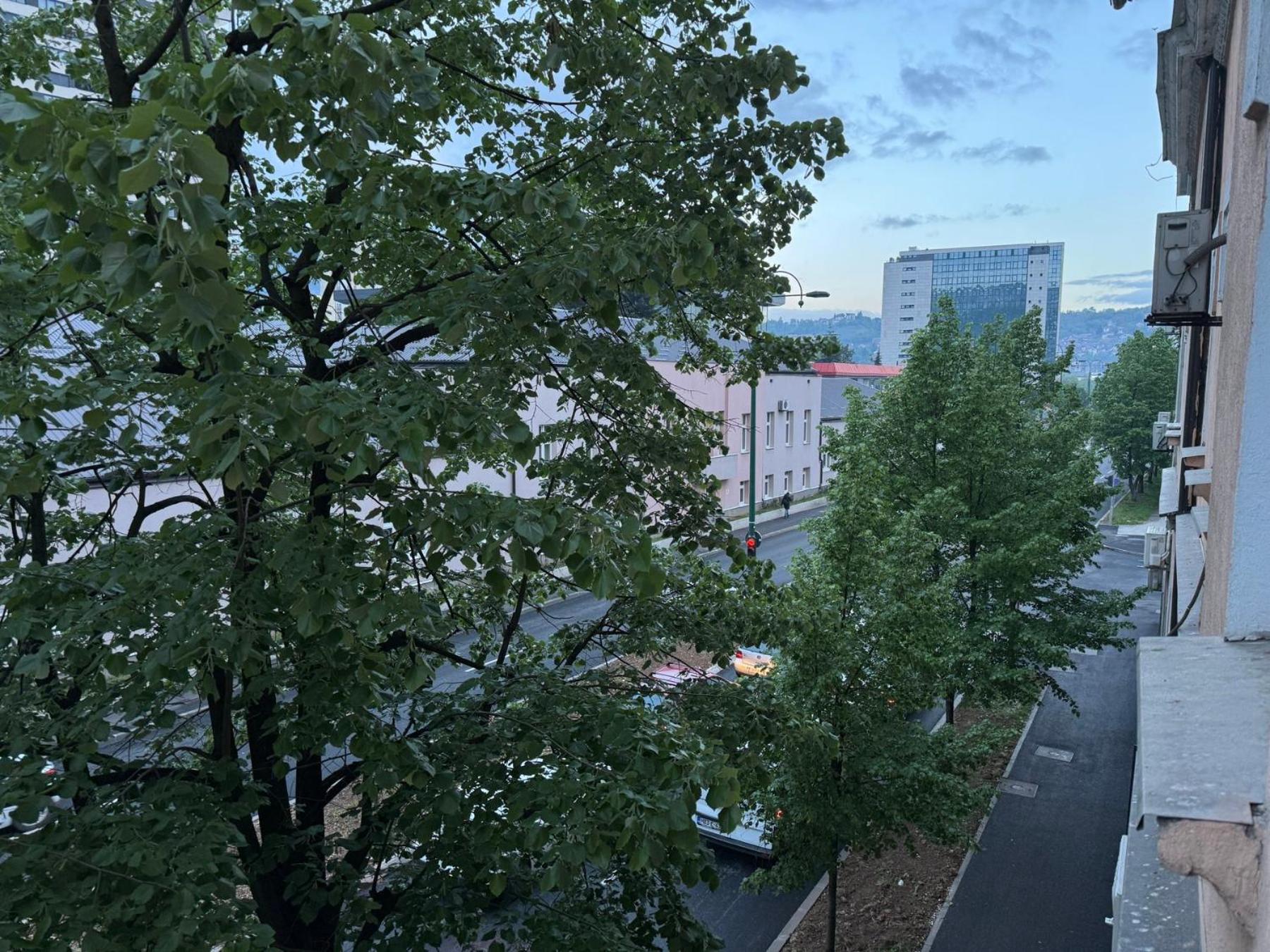 1 bedroom apartment in downtown