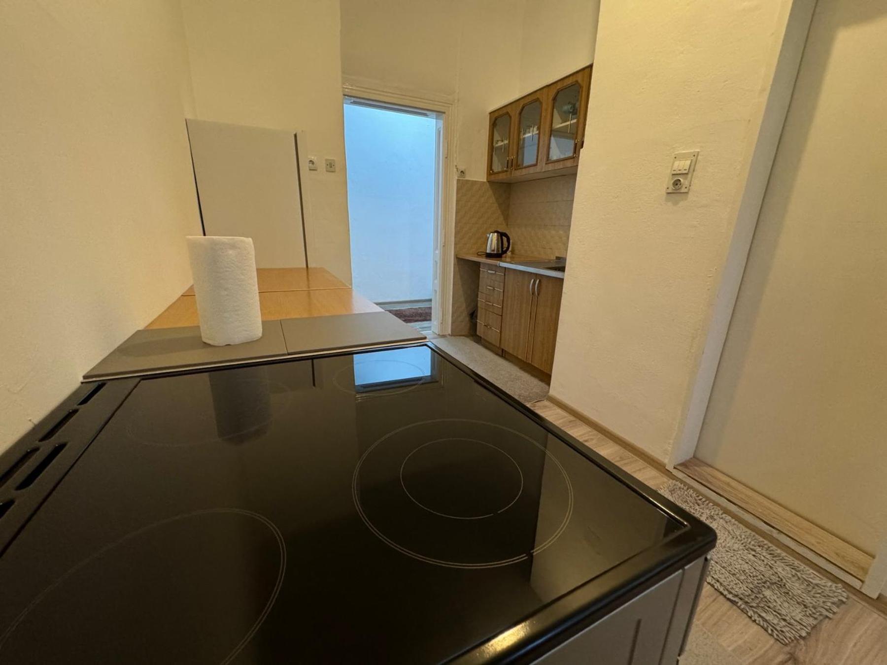 1 bedroom apartment in downtown