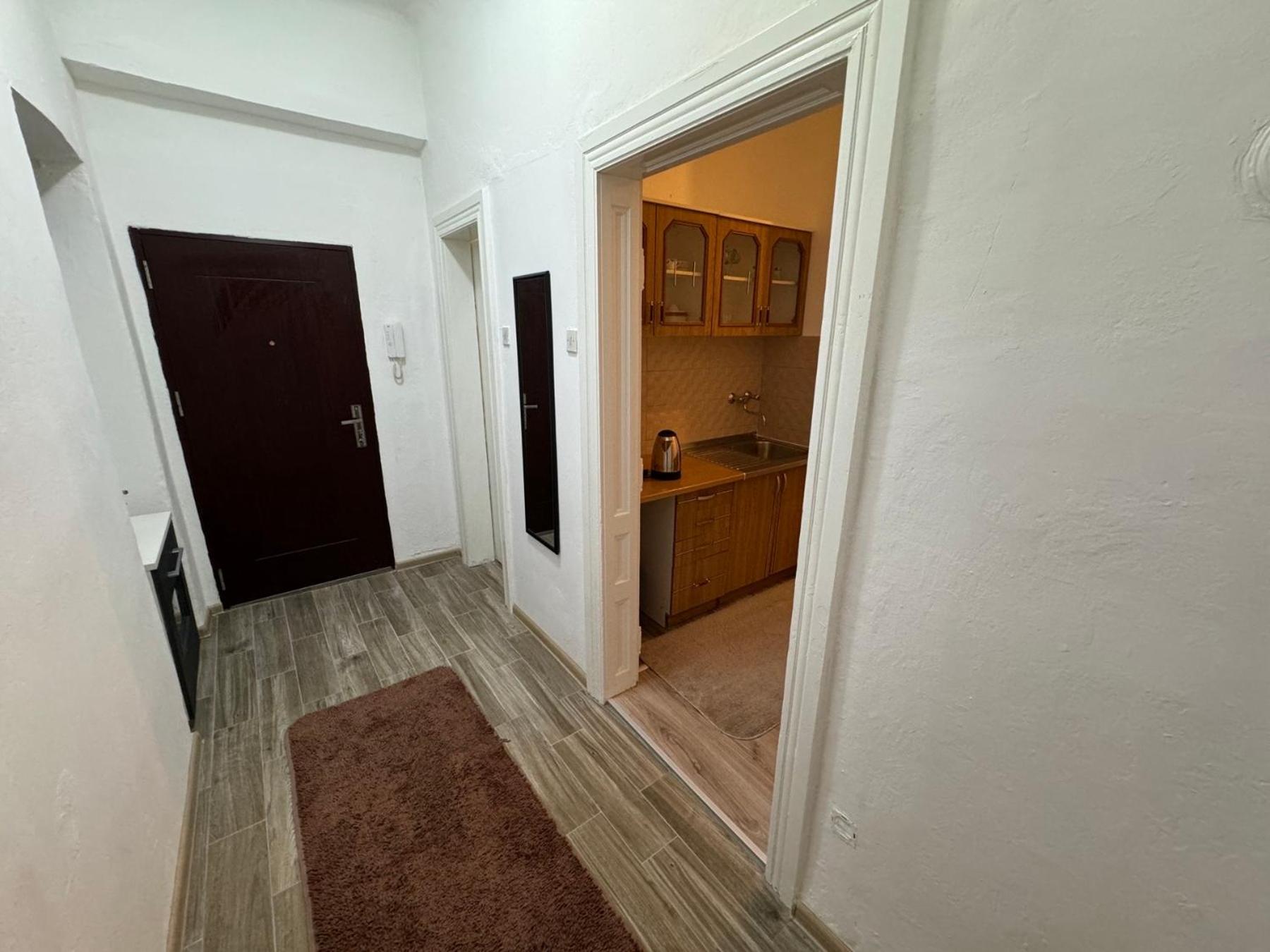 1 bedroom apartment in downtown