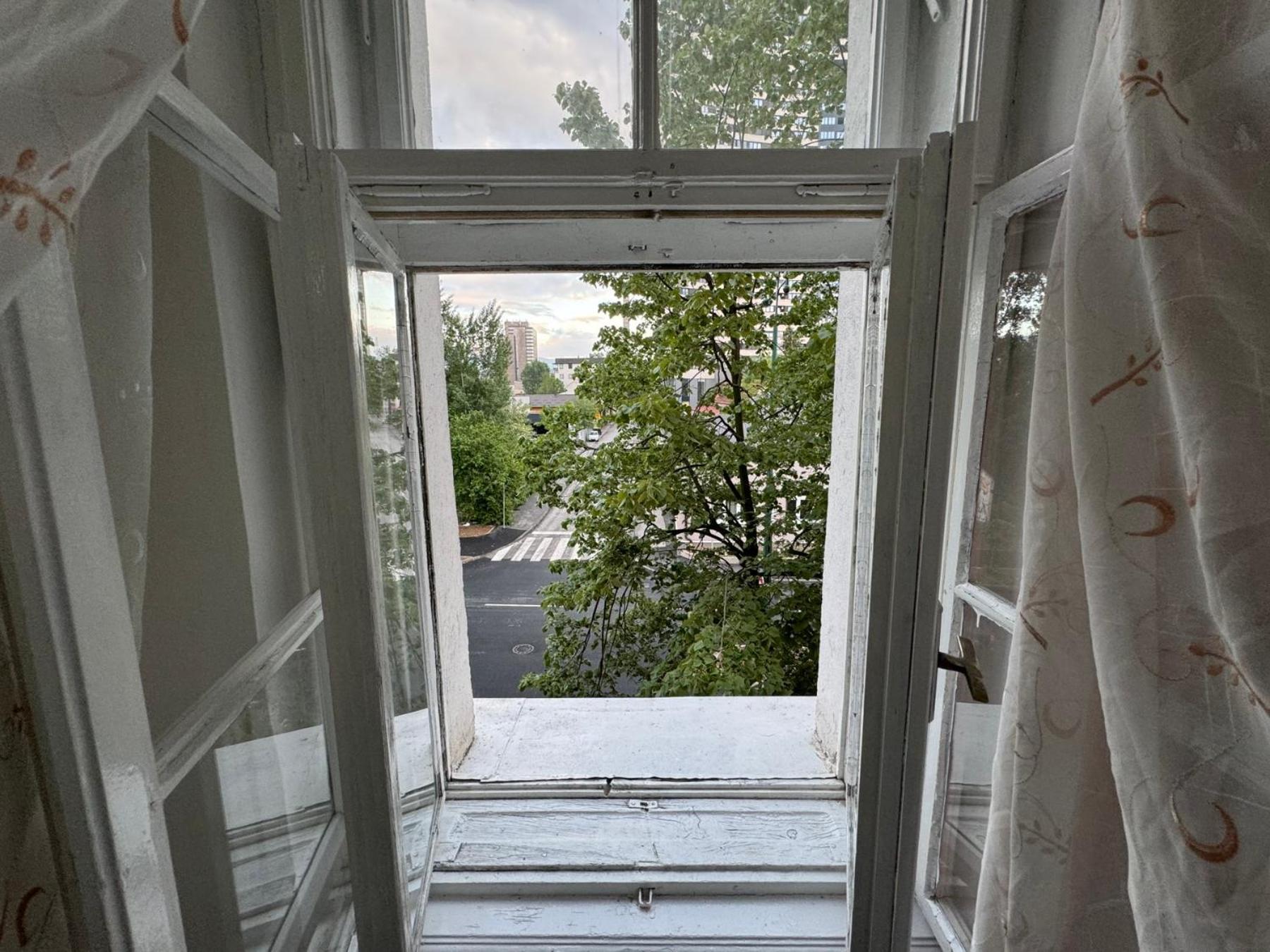 1 bedroom apartment in downtown