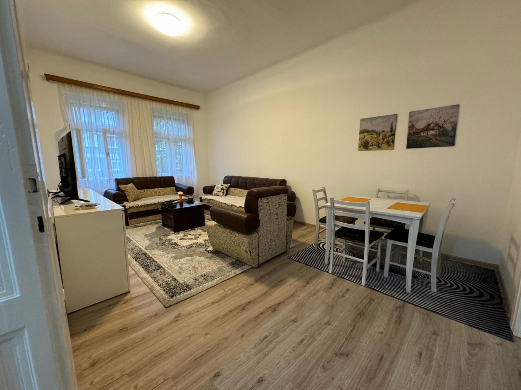 1 bedroom apartment in downtown