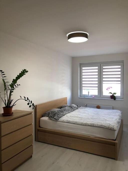 Apartment Little Hill