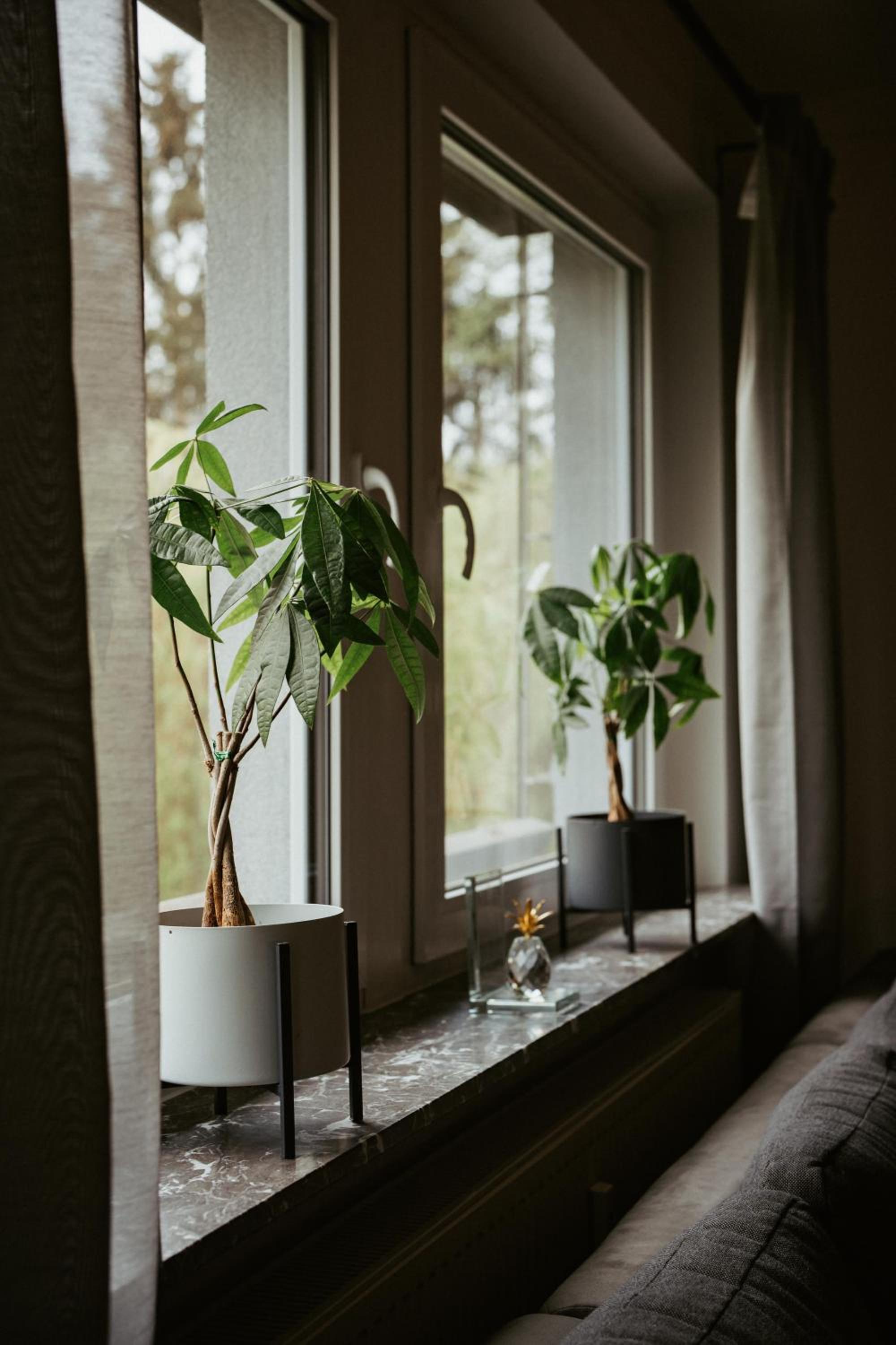 Ferienwohnung „Göttschied“