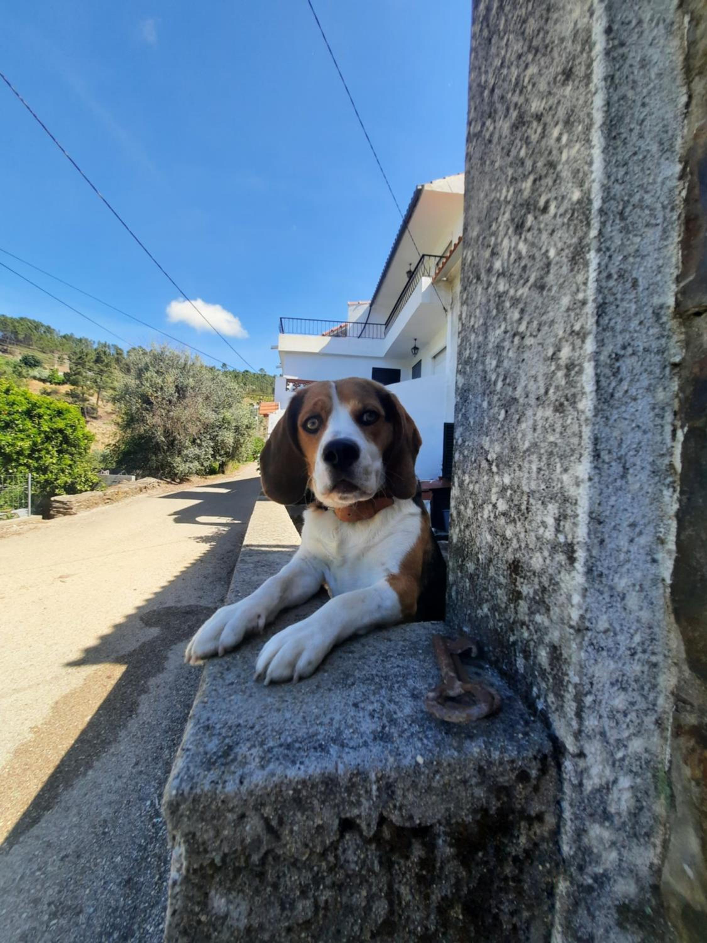 Casa Penafalcão