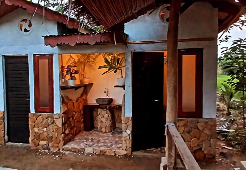 Tropical Jungle lodge & Jungle trekking