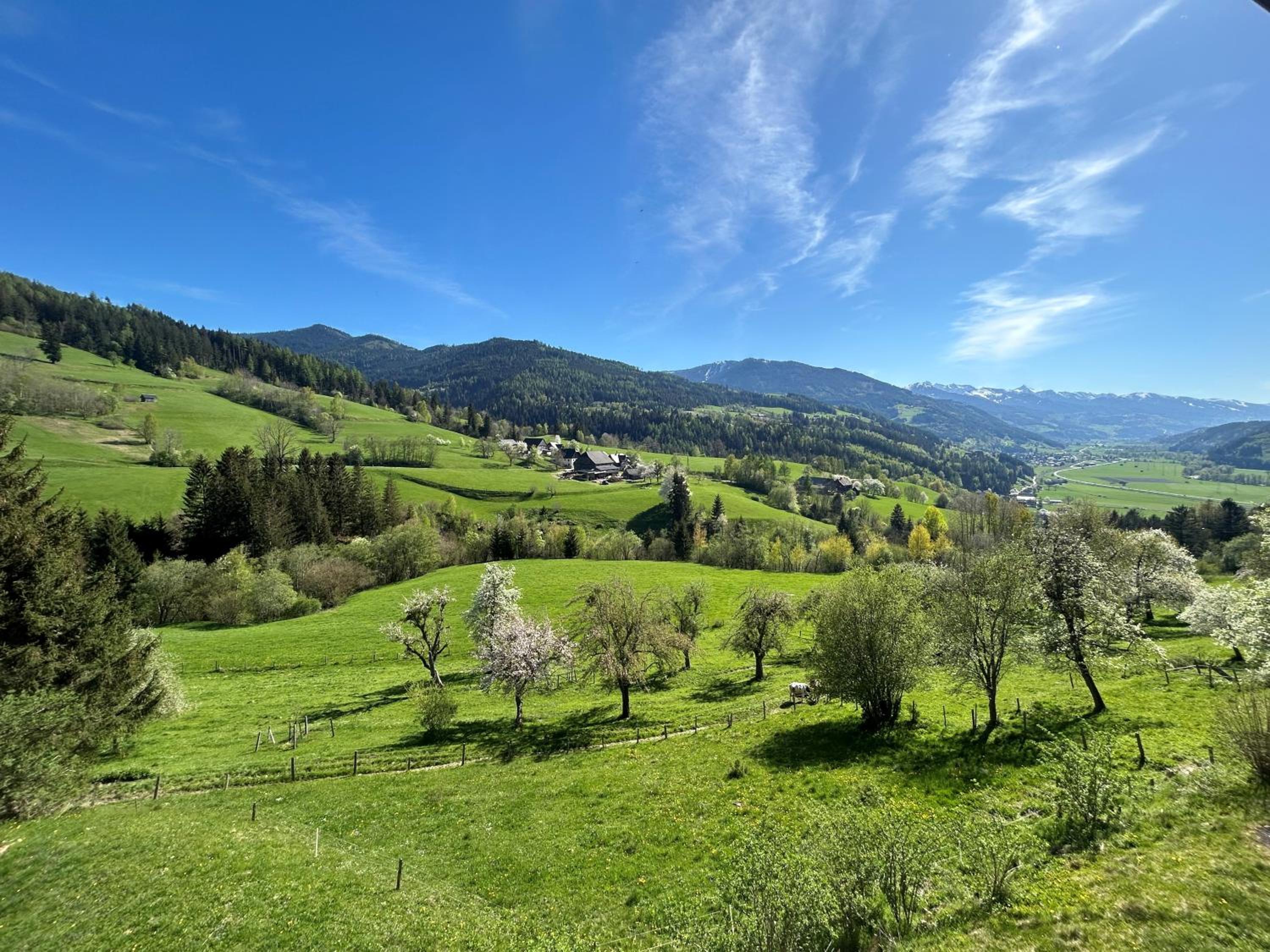 Panorama-Apartment Ennstalblick