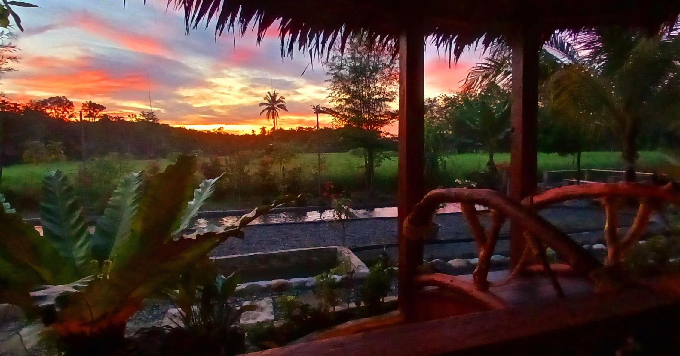 Tropical Jungle lodge & Jungle trekking