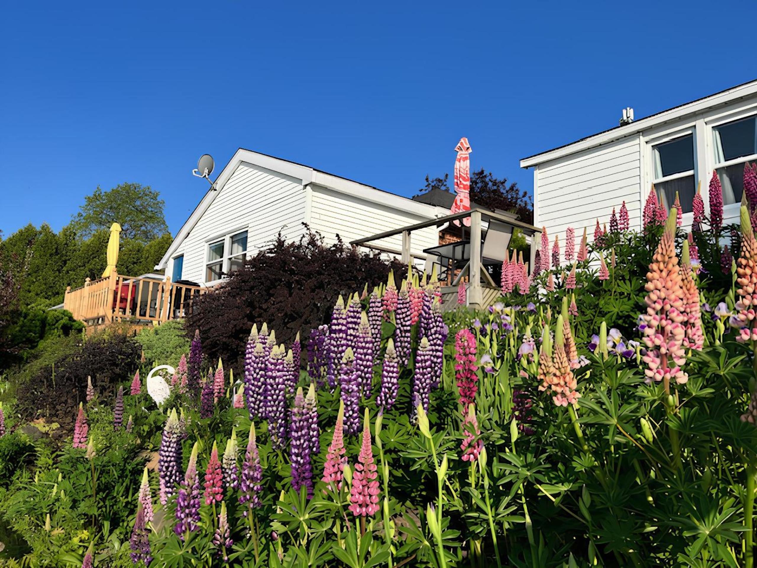 Dewar’s Inn and Cottages