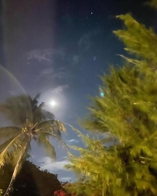 Sítio nas Dunas de Paracuru