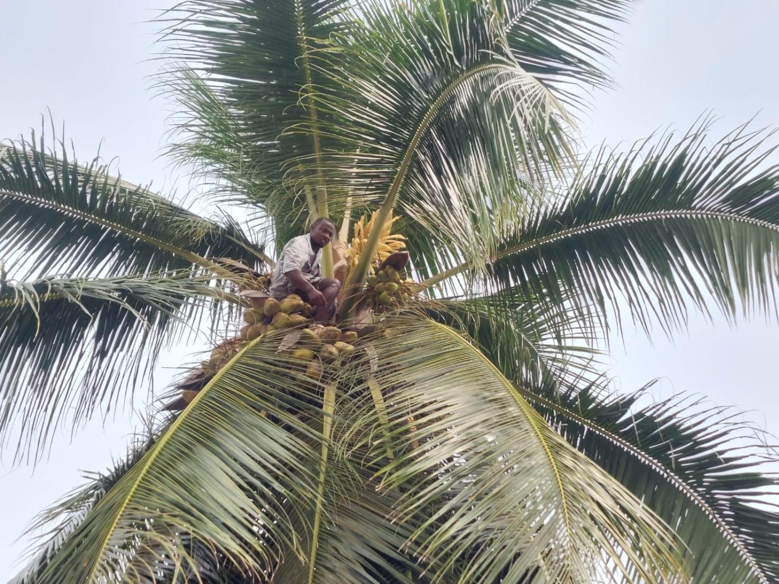 Les Villas Bohèmes de Kribi