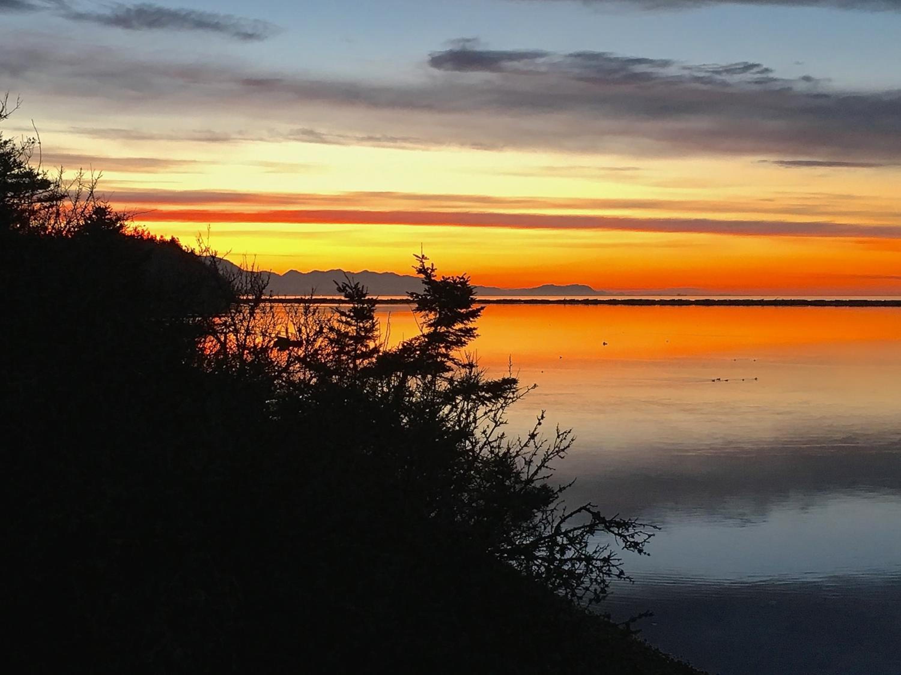 Photo 54