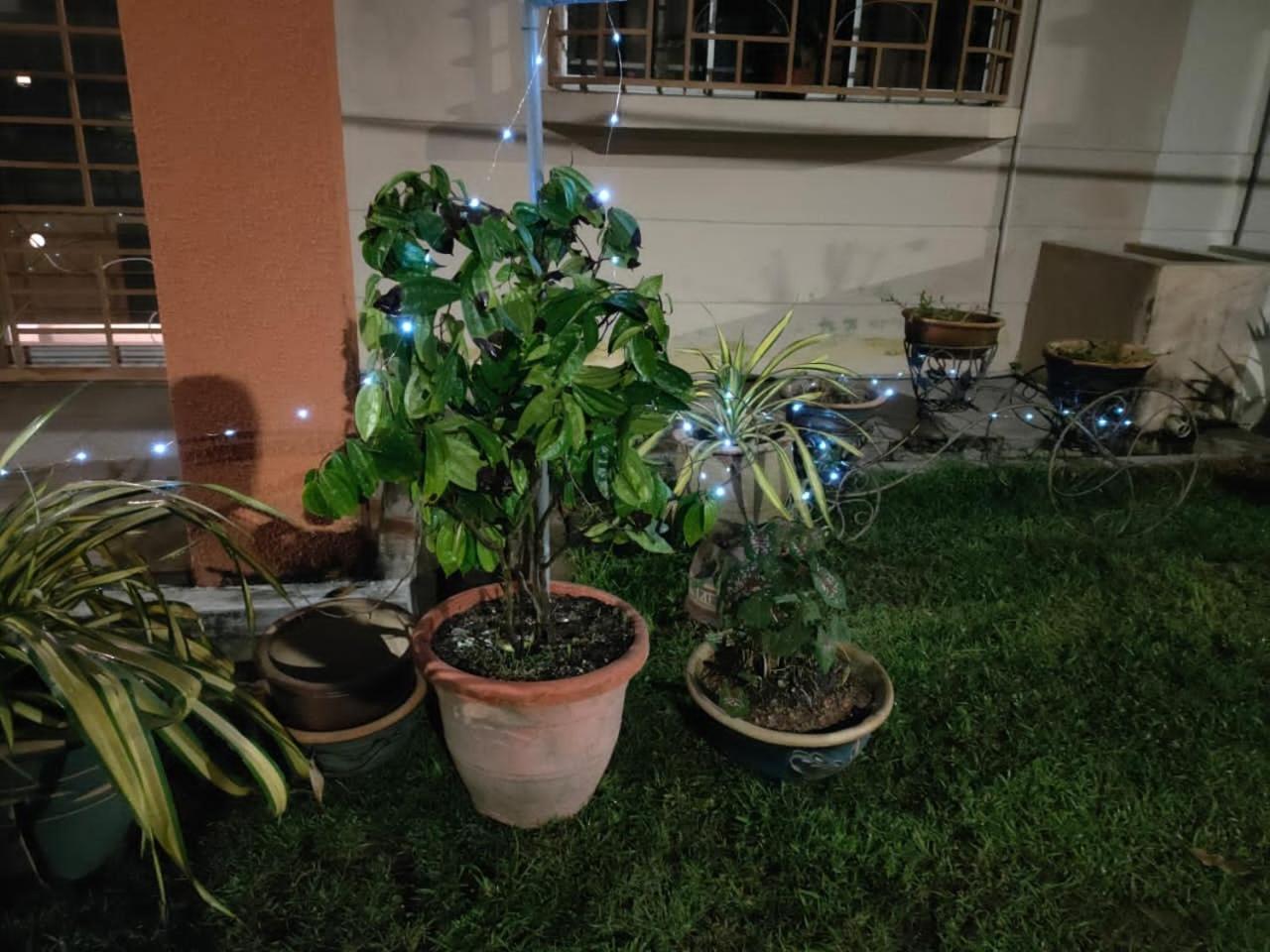 Photo 32