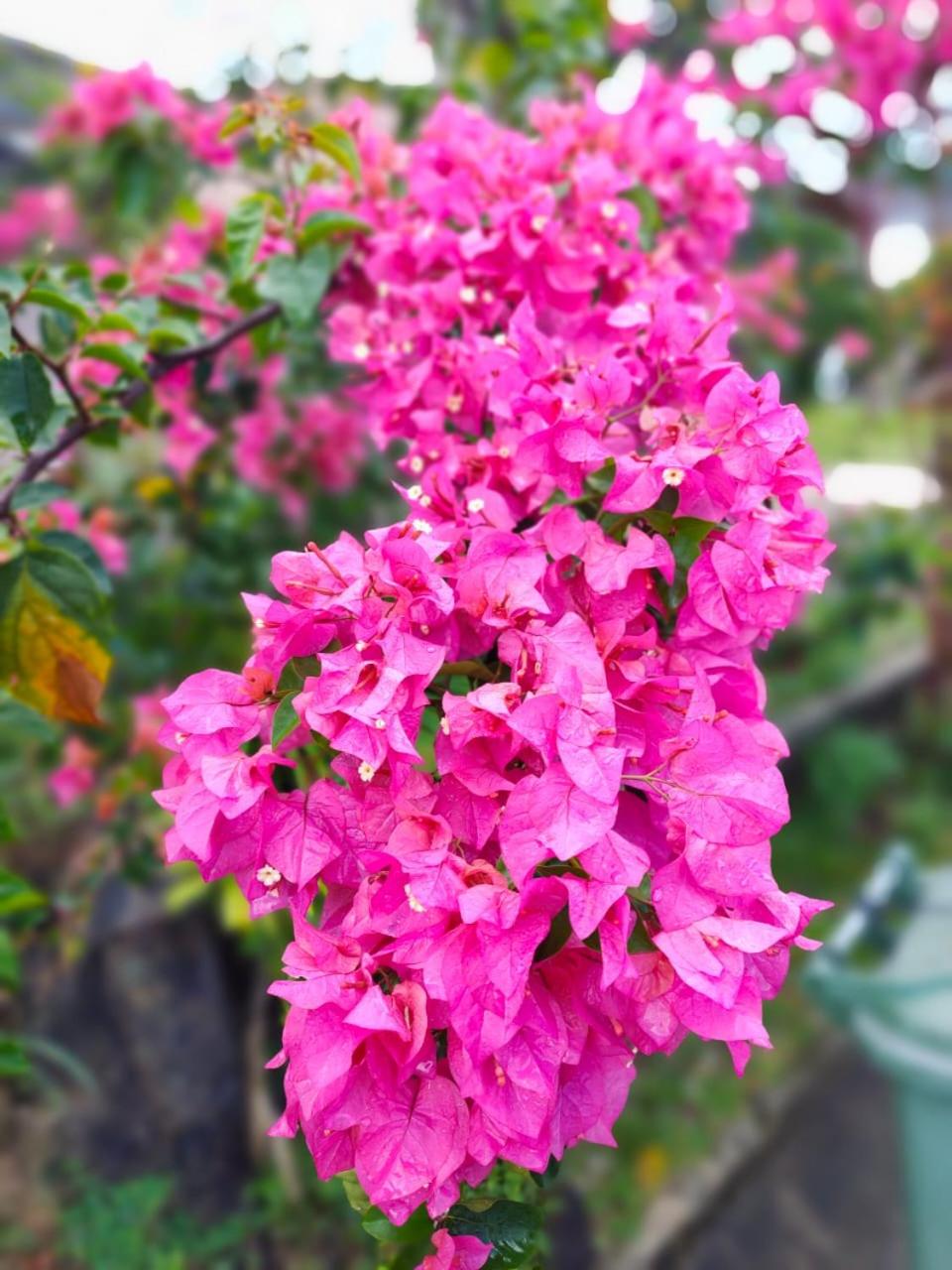 Photo 47