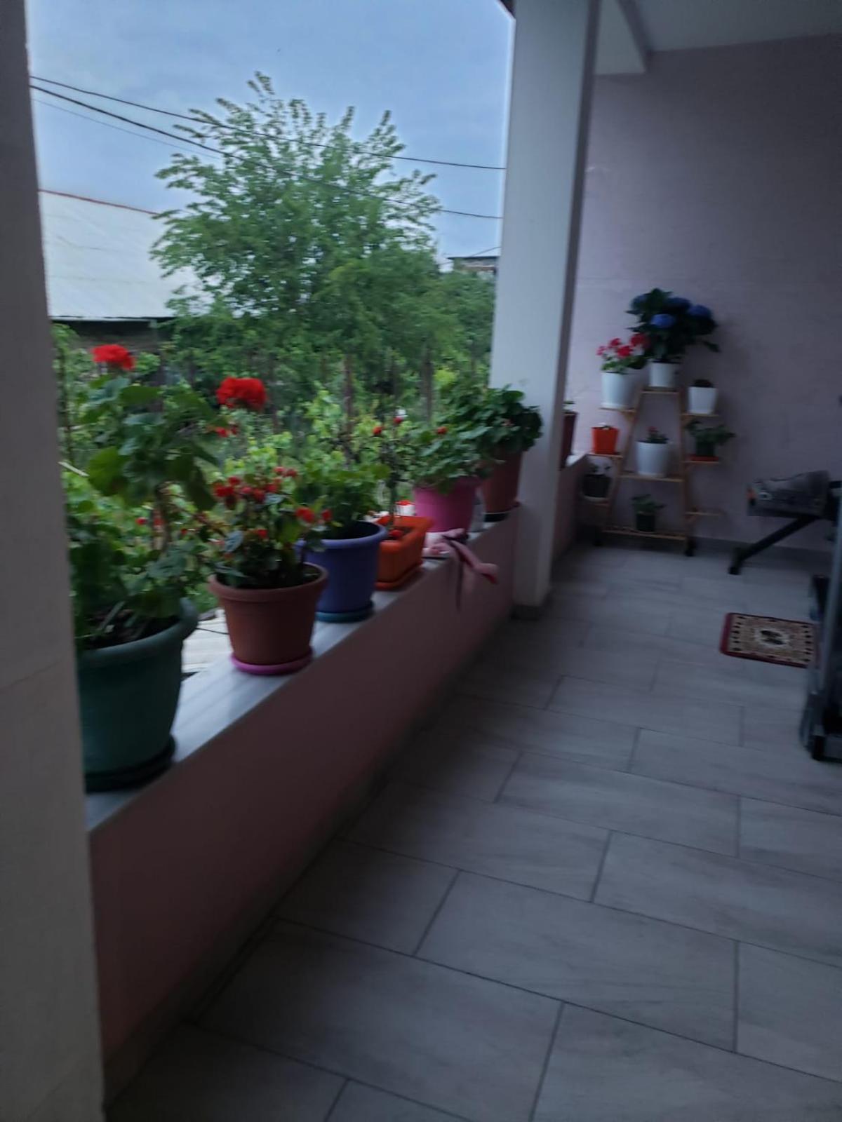 Dream Vila