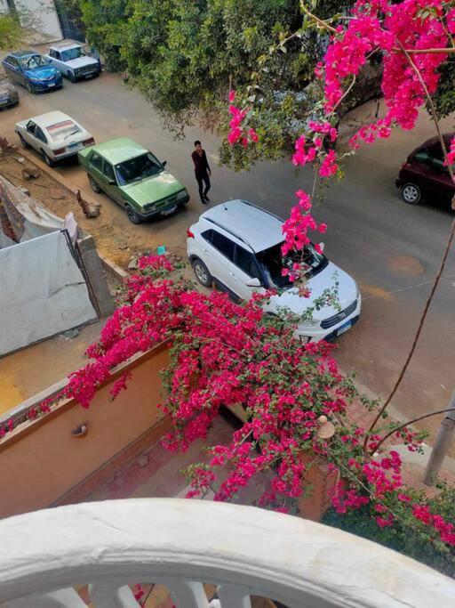 Appartement chic au Caire