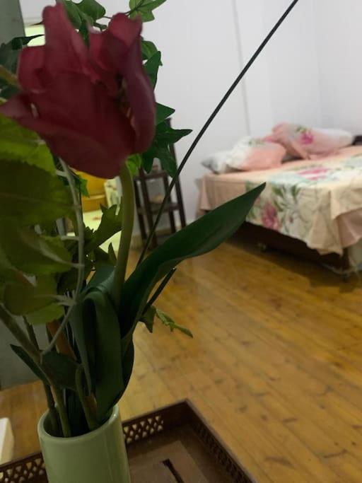 Appartement chic au Caire