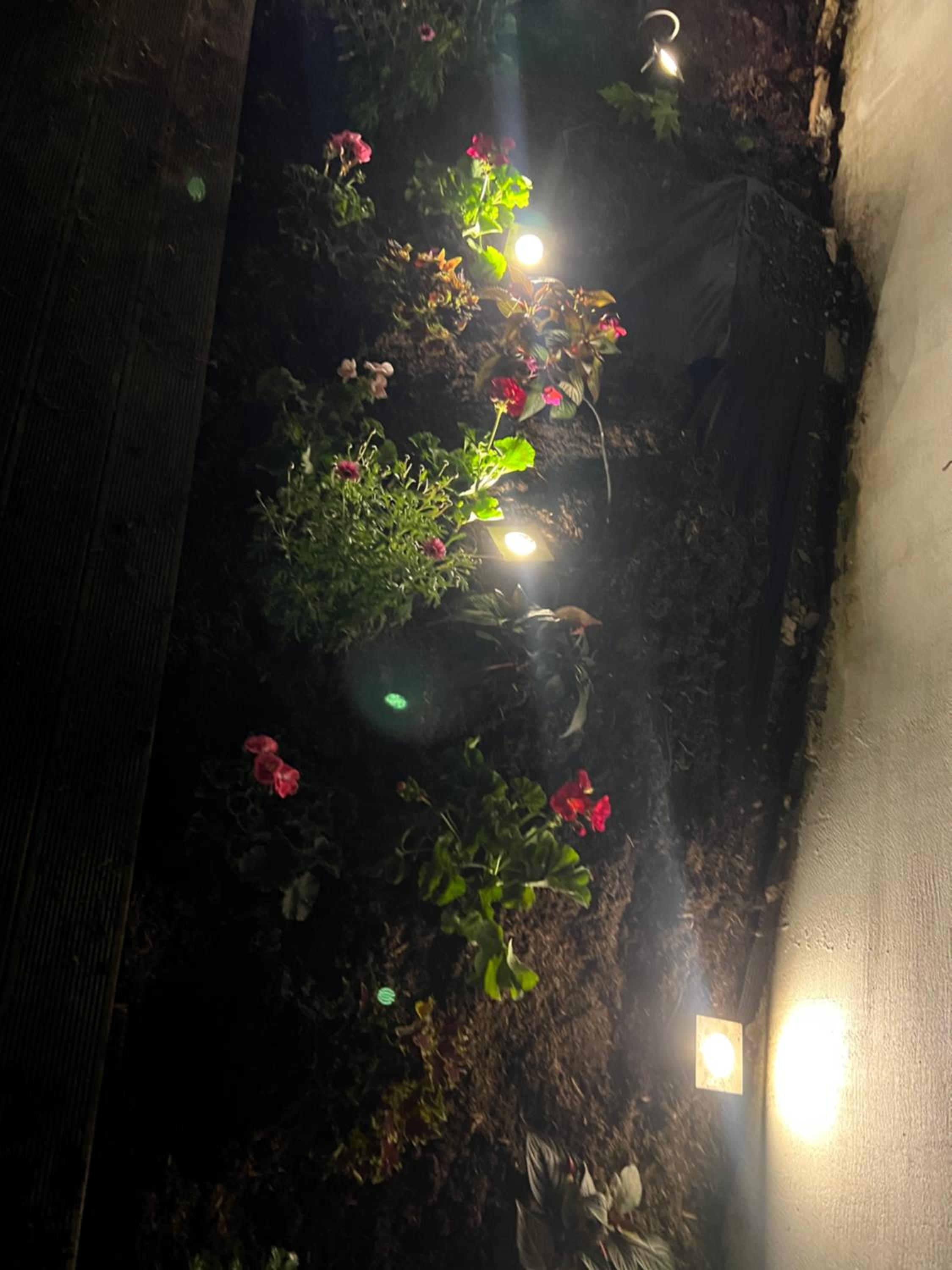 Garden box