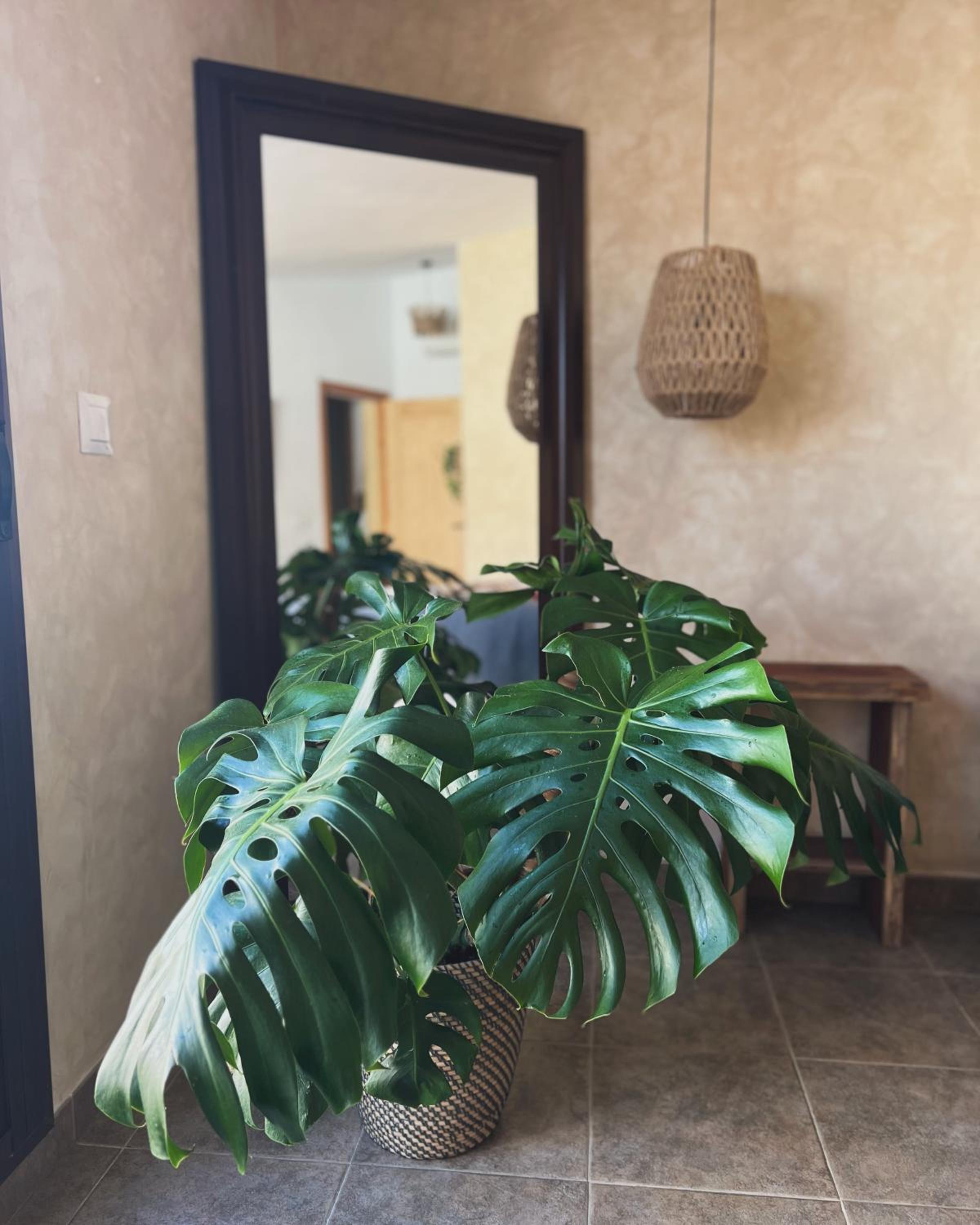 Yanes Bed And Breakfast Ronda