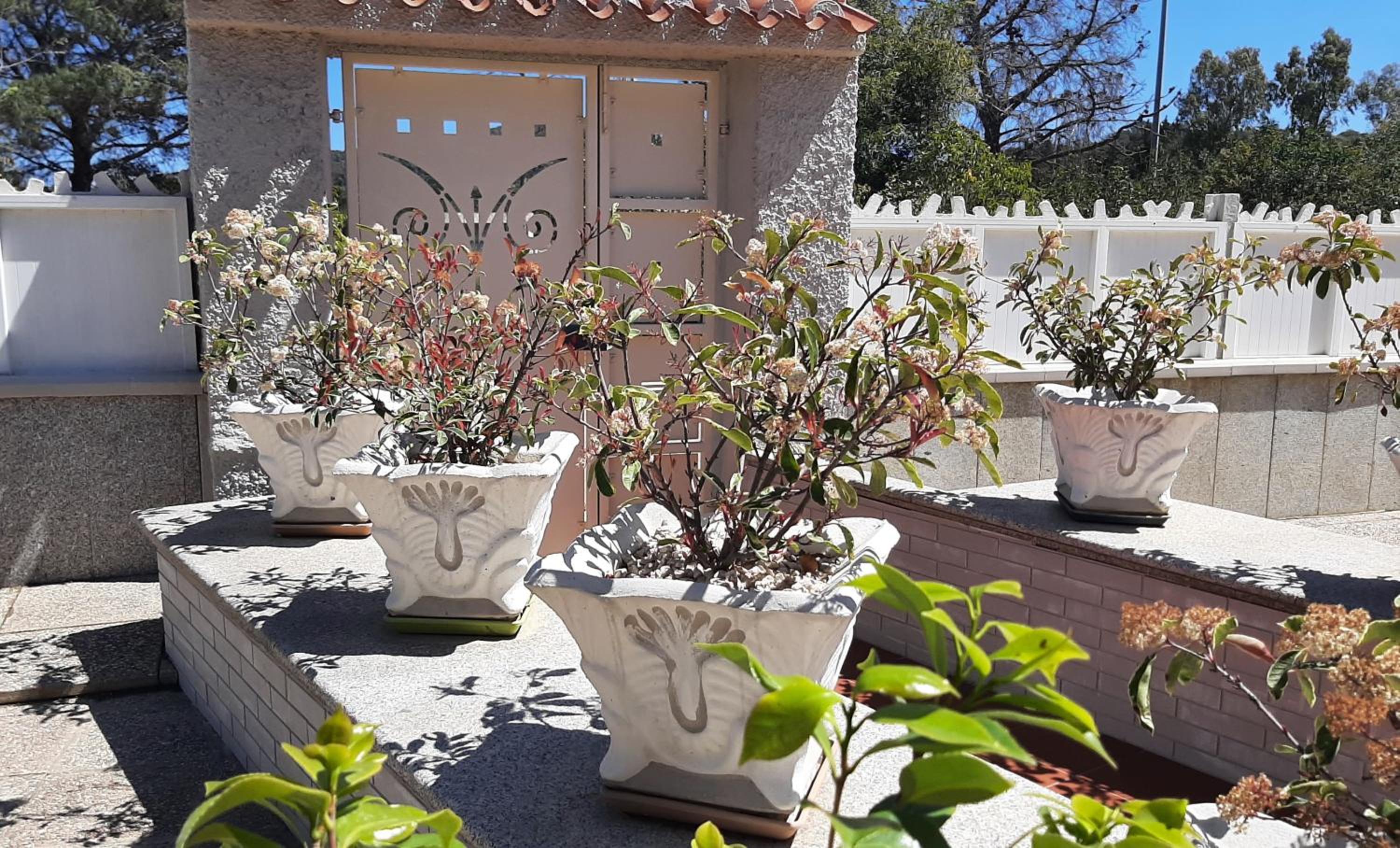 Villa MarHel Arbatax