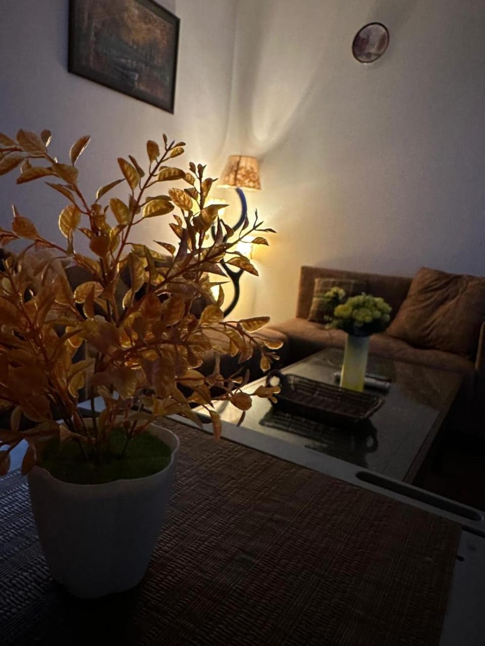 One bed flat for per day rent in e11/3 markaz view 3