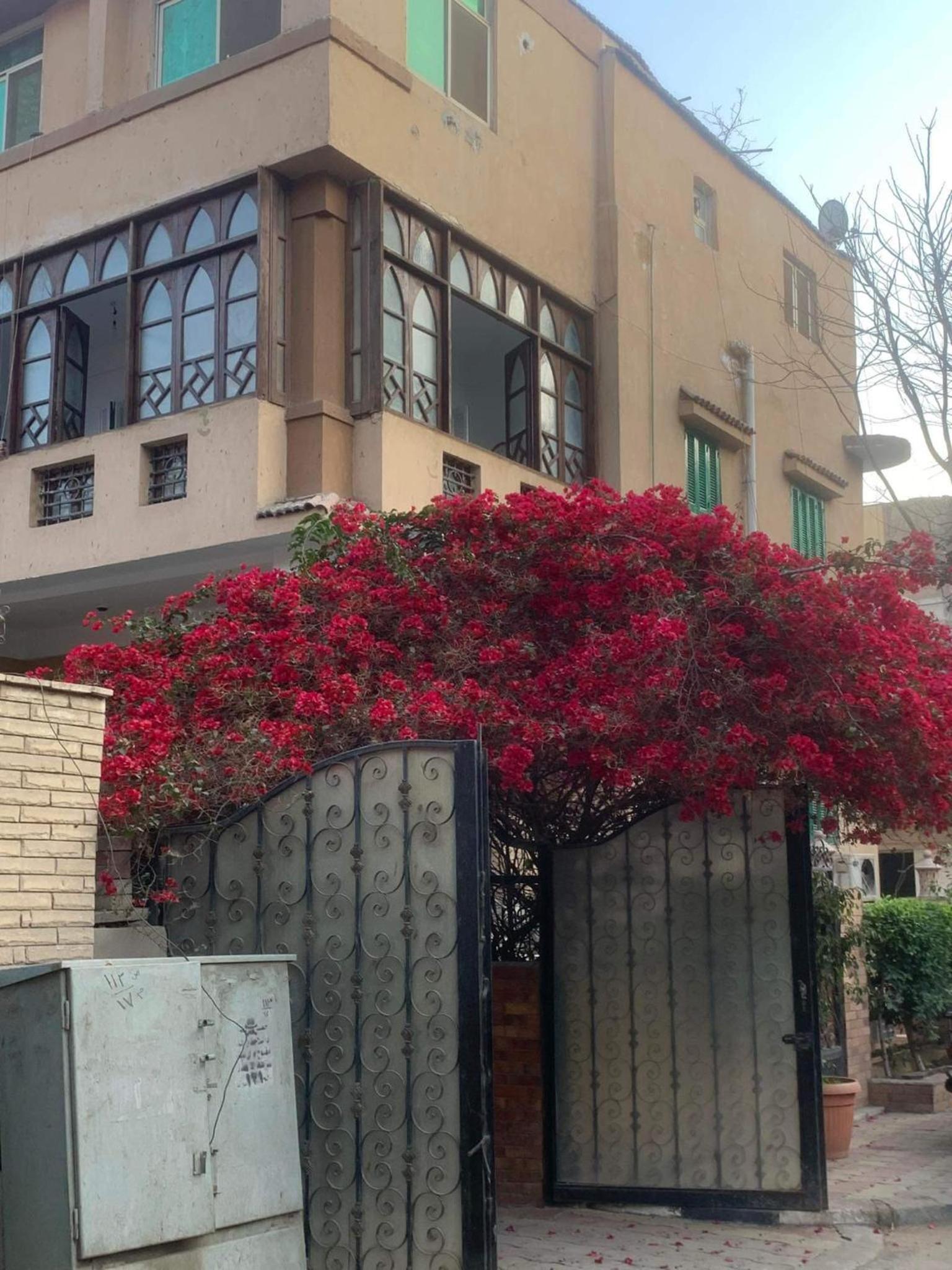 Appartement chic au Caire