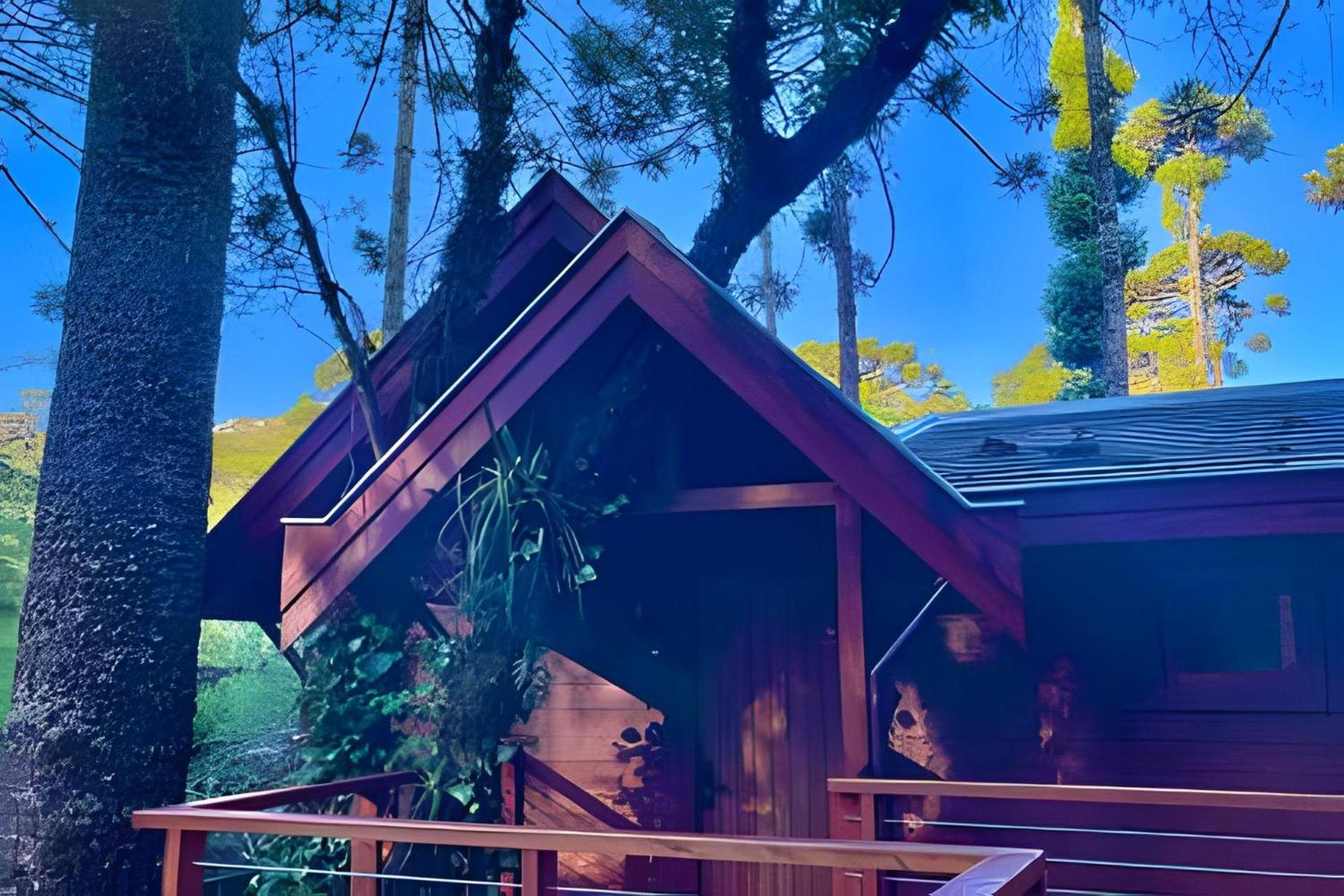 Cabana Suspensa na Natureza - Região Turística