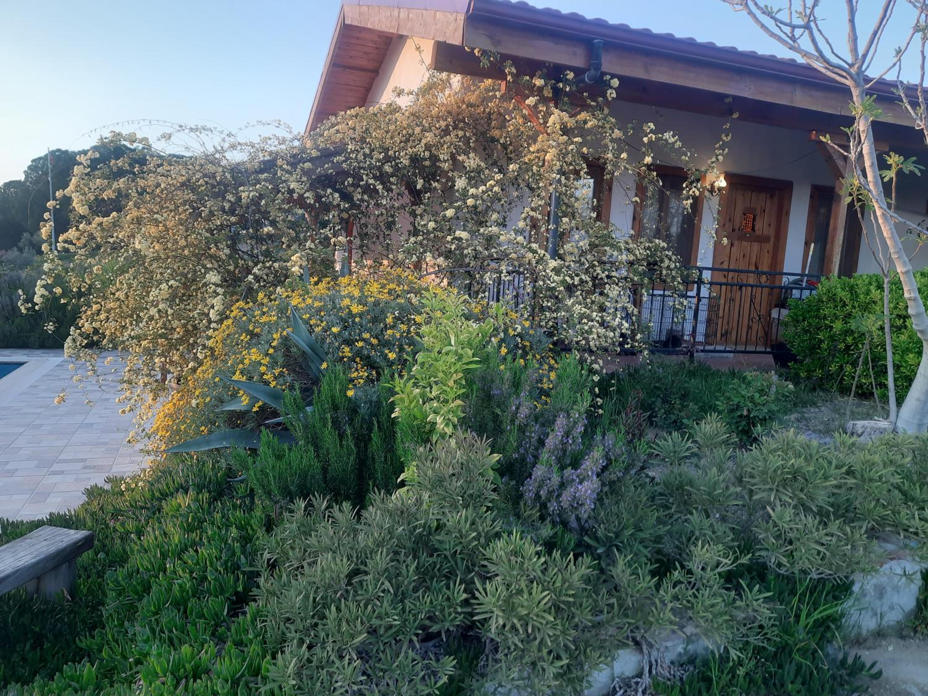 Hotel Ionia Guest House - Image 1