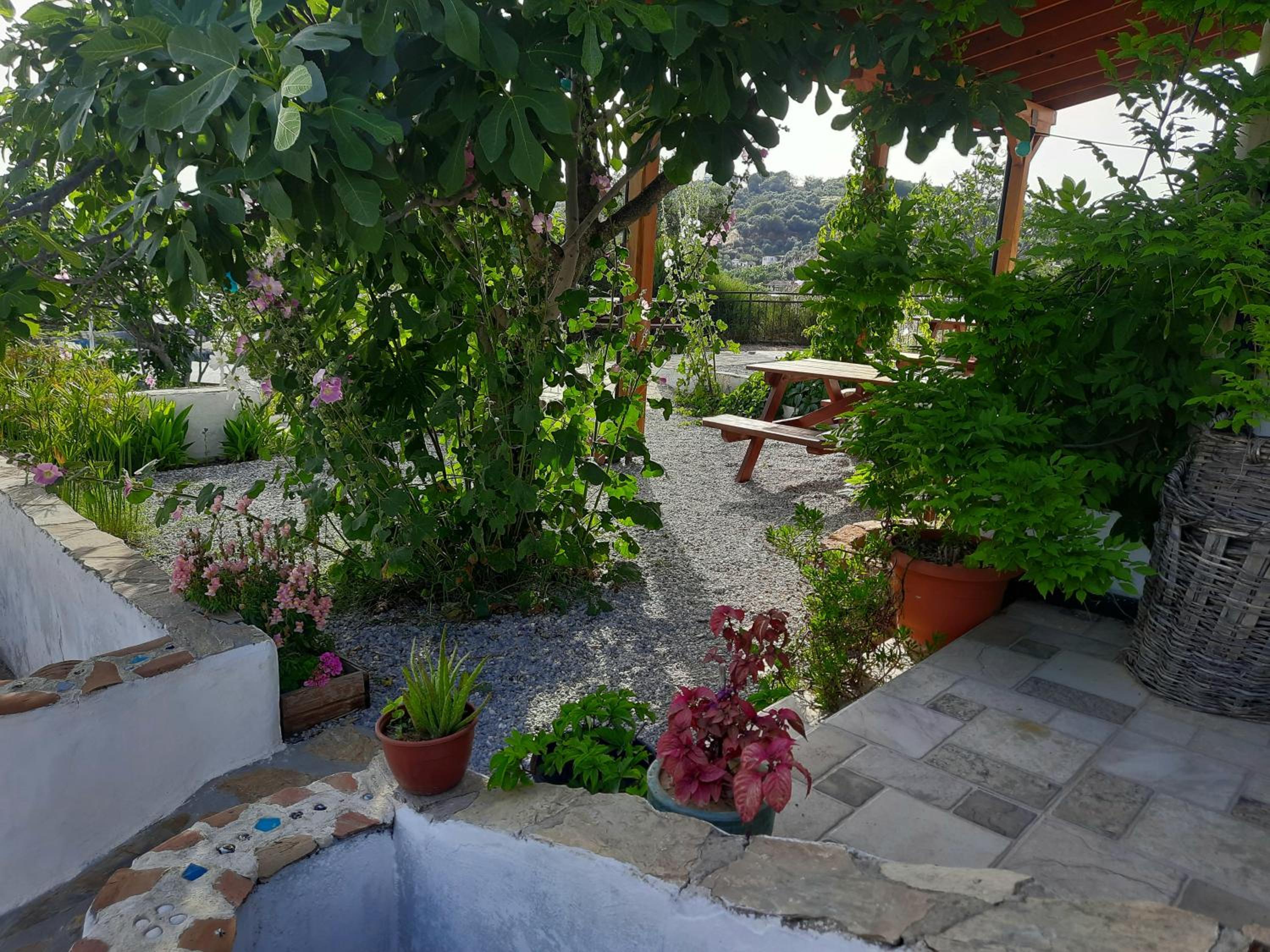 Ionia Guest House — photo 4