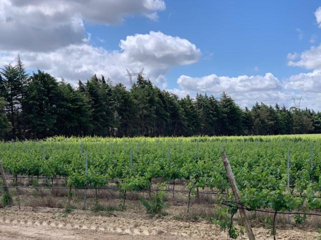 Quinta Centieira Scalab Wine