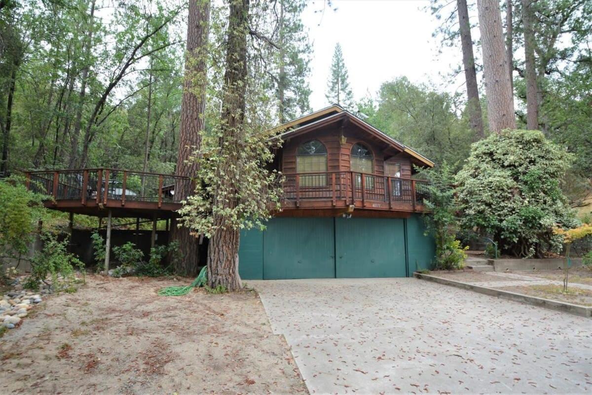 Secluded Cozy Mountain Cabin view 5