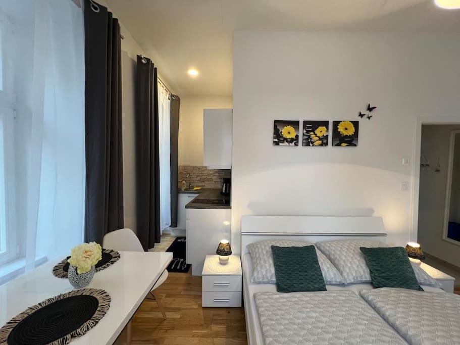 Praha 1 Florenc Hlavní mesto Romantic Apartments