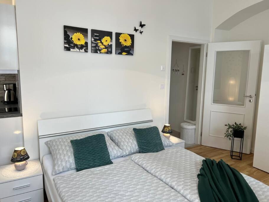 Praha 1 Florenc Hlavní mesto Romantic Apartments