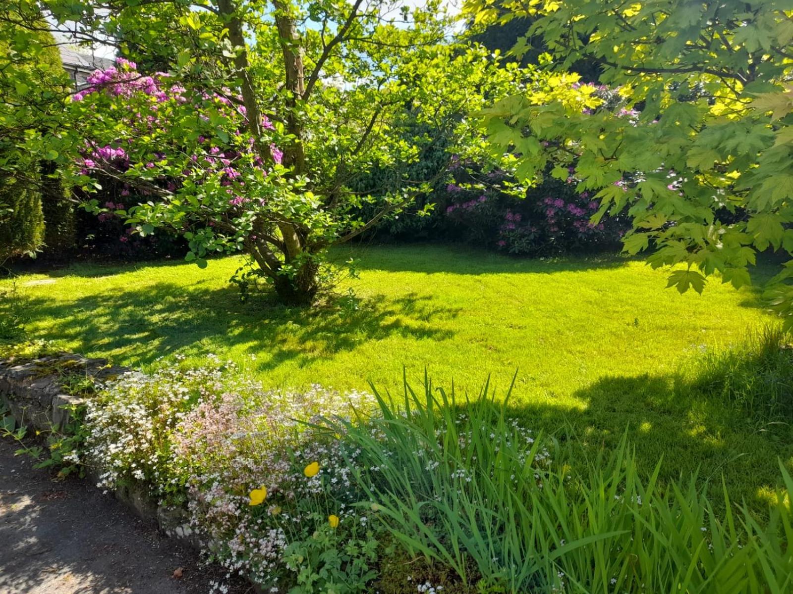 Yr Hen Efail - Quirky Old Smithy cottage near forest walks, cycling & lakes view 2