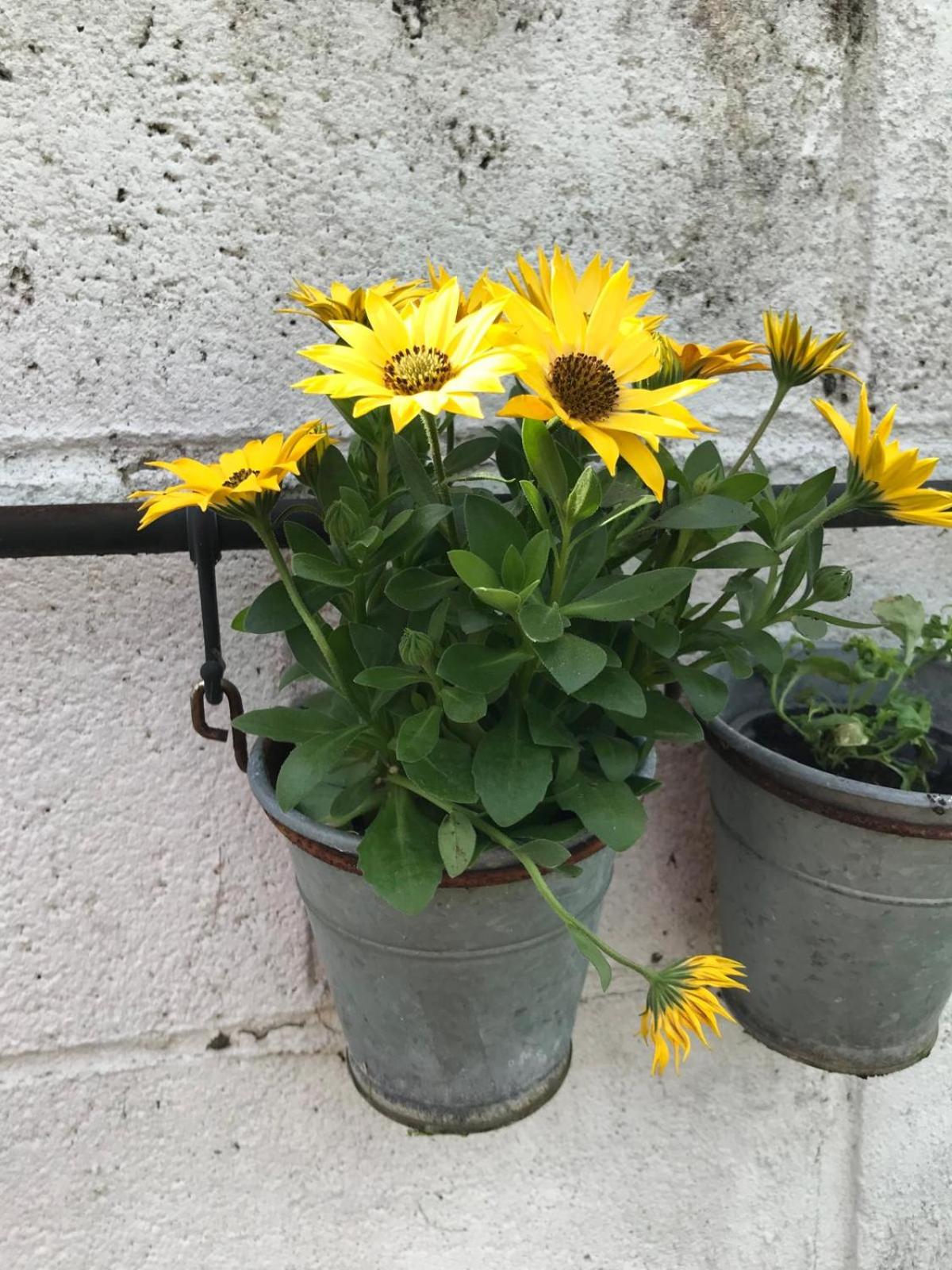 Spacious 3 bed townhouse in Dublin 12
