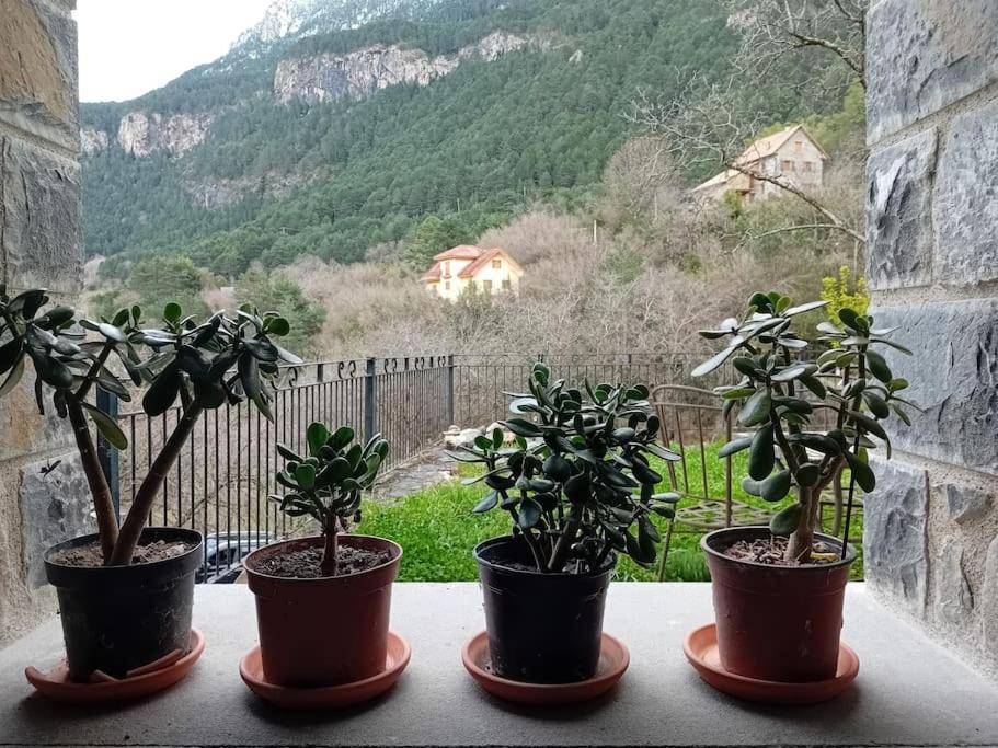 Apartamento Casa Tomás Saravillo